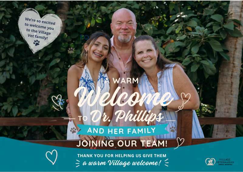 Carousel Slide 8: Welcome To The Team!