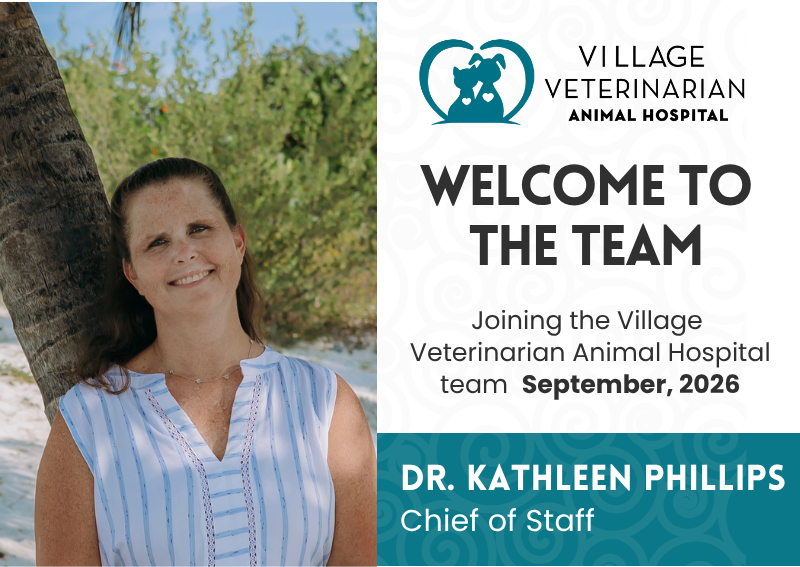 Carousel Slide 2: Welcome Dr. Phillips!