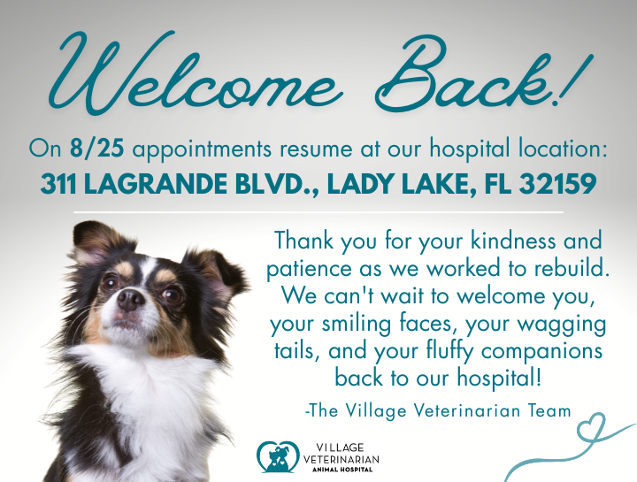 Welcome Back!