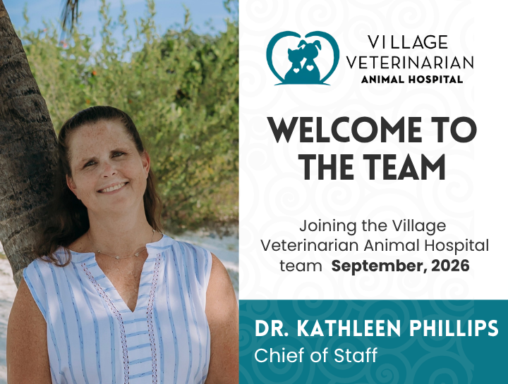 Welcome Dr. Kathleen Phillips!